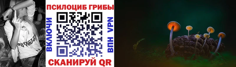 Купить  Саянск  Псилоцибиновые грибы Psilocybine cubensis 